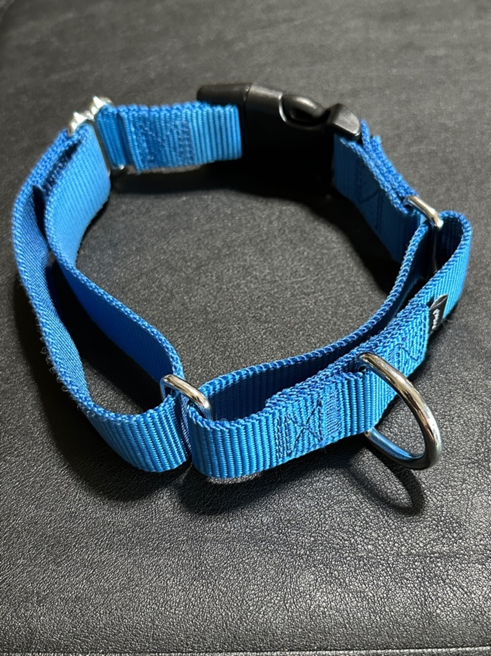 Petsafe Large Blue Nylon New Dog Collar